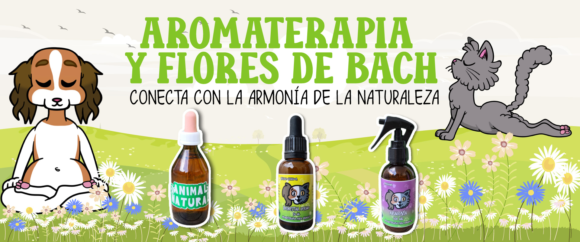 banner-aromaterapia