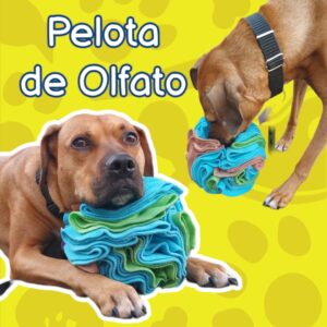 Pelota de Olfato de la tierra Grande