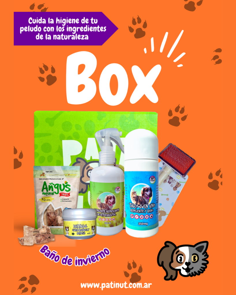 Box amigo